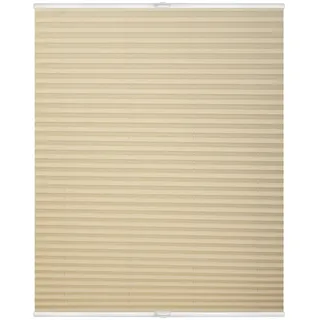 Lichtblick Plissee Klemmfix 130 x 130 cm Creme/Beige