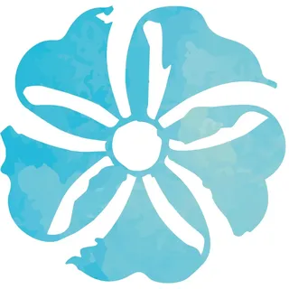 Organische Silizium LIQUID 500ml.