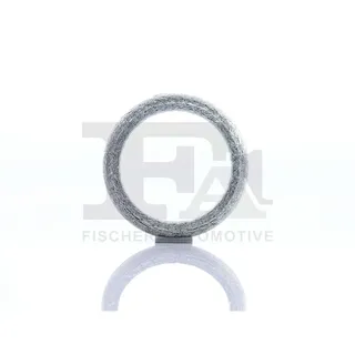 FA1 Dichtring, Abgasrohr