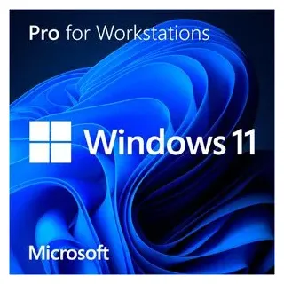 Windows 11 Pro for Workstations DVD DSP/SB DE