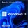 Windows 11 Pro for Workstations DVD DSP/SB DE