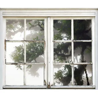 queence Wandsticker »Baum im Nebel« Wandsticker, Wandbild, selbstklebend, 3D, Fenster, weiß