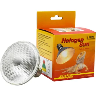 Lucky Reptile Wärmestrahler Halogen 100 W