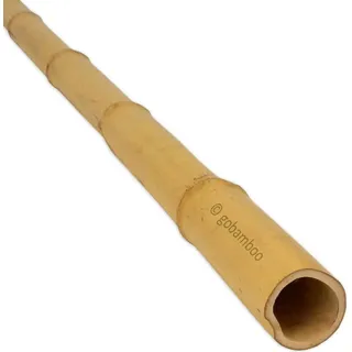 Bambusstange Moso Ø 3-4 cm x 200 cm 10 Stück - Gelb