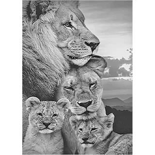 SHEGZHUC Diamond Painting Löwe und Löwin 40x50cm Schwarz Weiß Malen nach Zahlen 5D Diamant Painting Löwe Diamond Painting Tiere Perlenbilder Erwachsene Tiere Craft Buddy