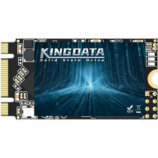 KINGDATA SSD M.2 2242 128GB Ngff internes Solid State Drive 1TB 500gb 250gb 120gb für Desktop-Laptops SATA III 6 Gb/s Hochleistungs Festplatte(128GB,M.2 2242)