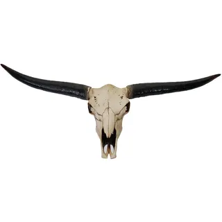MCW Deko Schädel Stier Beige, Schwarz