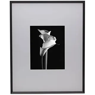 MIKASA Metall-Portraitrahmen, zeigt 20,3 x 25,4 cm Foto mit Matte, 40,6 x 50,8 cm ohne Matte, schwarz