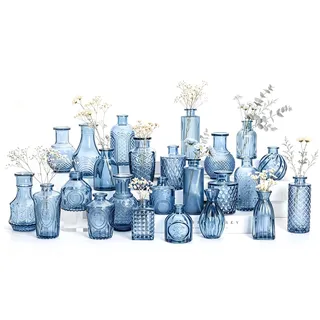 Kleine Glasvasen Set von 24, für Tischdekoration, Hochzeit, Empfang, Zuhause, Vintage-Flaschen, Transparent, Dekorative Glasvasen mit Deckeln (24, Blau)