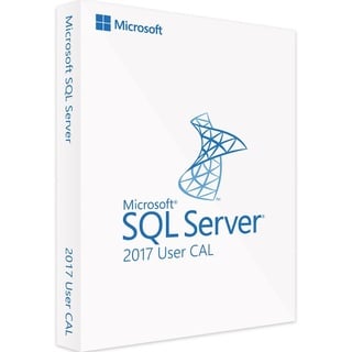 Microsoft SQL Server 2017 | 25 User CAL | Blitzversand