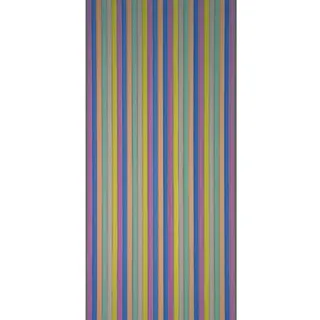 CONACORD Streifenvorhang Brilliant Türvorhang 90 x 200 cm Mehrfarbig