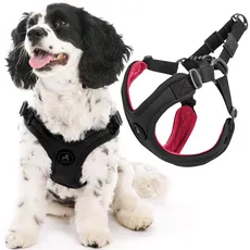 Gooby Sportliches Escape Free Hundegeschirr, Neopren, kein Ziehen, 4-Punkt-Anpassung für kleine Hunde bis 15,9 kg, Größe M, Schwarz