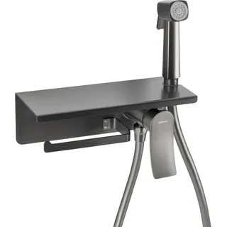 Unterputz-Bidetarmatur mit Brause und Toilettenpapierhalter, Gun Metal