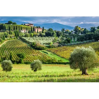 Papermoon Fototapete »Felder«, bunt