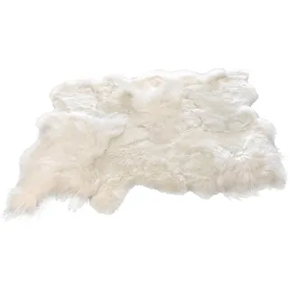 Jolipa Teppich Schaf, Weiß, klein, Fell, Mehrfarbig, L