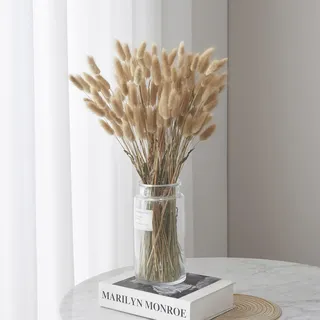 GIUSOBG 60 Stück Pampasgras Getrocknet Trockenblumen 45cm Getrocknete Natürliche Pampasgras Pflanzen Flauschige Trockenblumen (Grundfarbe)