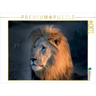 CALVENDO Puzzle Der König der Löwen 1000 Teile Puzzle quer | 1000 Teile Lege-Größe 64x48cm Foto-Puzzle für glückliche Stunden
