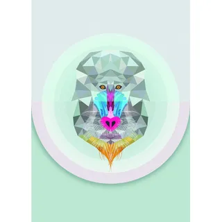 KOMAR Wandbild Baboon 50 x 70 cm