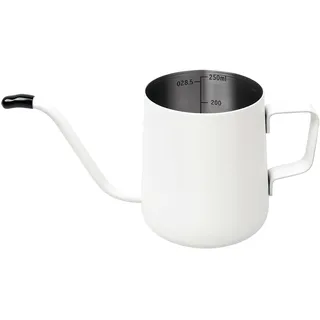 HJ-hghpiftr Gießkanne Klein, Edelstahl Langer Auslauf Giesskanne, Garten gießkanne für Zimmerpflanzen Sukkulenten (250, Milliliter)