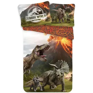 Jerry Fabrics Jurassic World Schwarz/Grün 140 x 200 cm + 70 x 90 cm