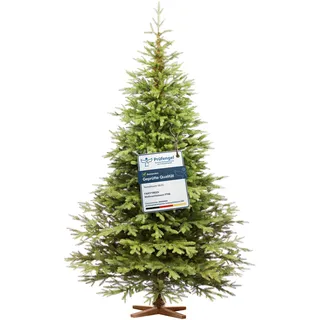 FAIRYTREES Weihnachtsbaum künstlich 250cm Nordmanntanne Exklusiv 100% PE| Tannenbaum Holzständer | Made in EU | Christbaum künstlich mit Naturgetreue Spritzguss Elemente