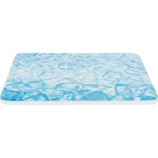 Trixie Kühlplatte 20 × 15 cm Blau
