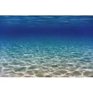 Papermoon "UNTERWASSER-WELT-OZEANE SEE MEER WASSER SAND DÜNEN", bunt,