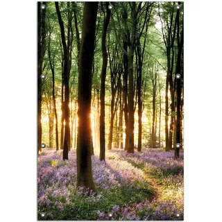 Wallario Outdoor-Poster für Garten oder Balkon, Motiv Blaue Hasenglöckchen im Wald mit Sonnenstrahlen, in ca. 80 x 120 cm - Schwarz