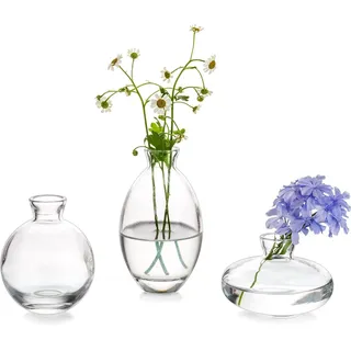 Kleine Vasen Für Tischdeko Vintage Handmade, 3 Stück/Satz Klar Mini Vase Glas Blumenvase Modern Set Verschiedene Groessen Schlanke Hydroponic Glasvase Fuer Blumen Deko Hochzeit Tisch Wohnzimmer