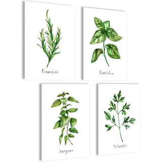 mojoliving Moderne Küchenbilder Kräuter Poster Set Bilder Collage Wanddeko Gewürze Set Küchenposter Wandcollage in Aquarell Design 4x A4 ohne Bilderrahmen Rosmarin Basilikum Oregano Petersilie