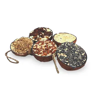 10 Stk. Lyra Pet® Halbe Kokosnuss gefüllt mit Topping