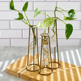 Anzuchtstation Terrarien mit Gold Metallständer - Kate Aspen 3 Glas Reagenzglas Pflanzgefäße für Zimmerpflanzen, Luftpflanzen, Pflanzenschnitt, Schnittblumen, Kräuter, Sukkulenten | Wohnkultur