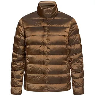 Daunenjacke BETTY BARCLAY "Daunen-Steppjacke mit Stehkragen", Damen, Gr. 46, braun, Obermaterial: 100% Polyamid PA., Jacken Daunenjacke