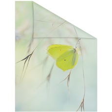 Bild Fensterfolie Schmetterling grün 1 St., blickdicht, strukturiertKlebepunkte, selbstklebend, Sichtschutz, grün