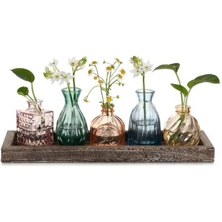 Hewory Kleine Vasen für Tischdeko, 5er Bunt Vasen Set mit Holztablett | Vintage Glasvase Mini Vase Glas Kleine Blumenvasen für Deko Wohnzimmer Home Esstisch Zuhause Geburtstag Party Geschenk