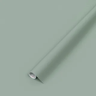 d-c-fix Möbel-Klebefolie Uni seidenmatt Sage green 67,5 cm x 2 m