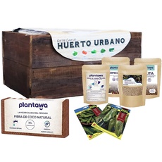 PLANTAWA Pfefferpflanzen-Set, komplettes Kulturpflanzen-Set für städtischen Gemüsegarten, Pflanzkasten für Zuhause, Kultur-Set für natürliche Pfefferpflanzen