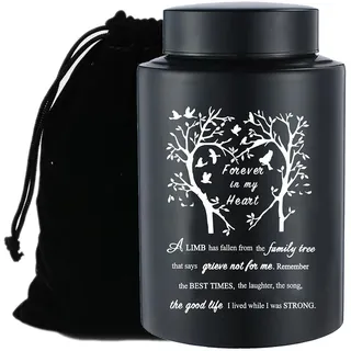 22,9 cm große Urne für menschliche Asche, Edelstahl, schwarz, Einäscherungsurne für Erwachsene, Andenken, Urne, Gedenk-Asche, Behälter bis zu 220 kg