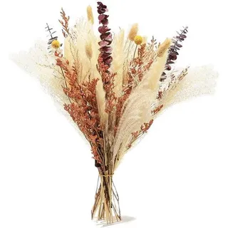 Pampas-Gras-Set für Boho-Interieur, 34 Stück, Natürlich