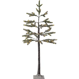 Outdoor Dekobaum Tanne LED beschneit H 120cm warmweiß - Grün