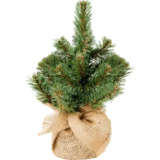 Narnia Weihnachtsbaum im Topf 25 cm - Grün