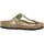 Gizeh Gold 37