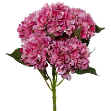 Bild Kunstpflanze, pink