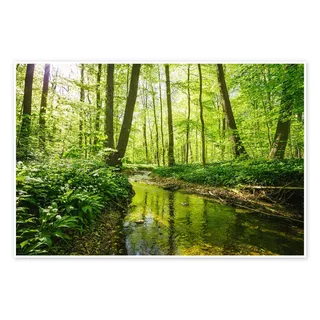 Oliver Henze Frischer grüner Wald Poster 90 x 60 cm | Sonnendurchflutete Naturfotografie | Frühlingsgrüne Waldlandschaft mit klarem Bach und dichter Vegetation