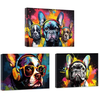 ZXHYWYM Tier Graffiti Wanddekoration 3 teilig bunter Hund mit Sonnenbrille und Kopfhörer Bild Musik Tier Leinwanddruck für Teenager und Jungenzimmer mit Rahmen (B (28x35cmx3))