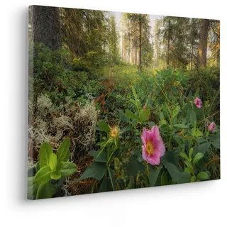 Komar Leinwandbild »Keilrahmenbild - Charming Woods - Größe 60 x 40 cm«, Baum-Blätter-Natur-Berge-Blumen-Foto-Jahreszeiten-Landschaft-Meer-Strand-Palmen, (Packung, 1 St.), Deutsches Qualitätsvlies (155 g/m2), bunt