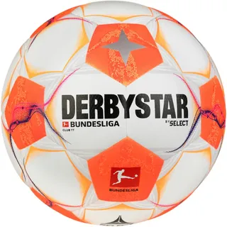 derbystar Bundesliga Club TT v24