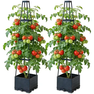 BRGD 2 Pack Selbstbewässerung Tomatentopf mit Rankhilfe, Pflanzkübel Pflanzenstütze für den Anbau von Tomaten, Gurken, Bohnen, Rosen, Petunien
