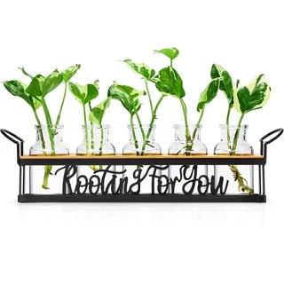 THYGIFTREE Blumenvase Vintage Deko Kleine Vasen Für Tischdeko, Hydrokultur Glas mit Metallständer Für Blumen Mit Ständer, Propagation Station Für Deko Wohnzimmer Outdoor Taufe Schreibtisch deko