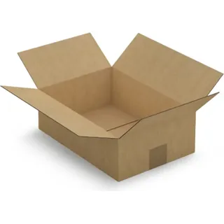 Verpackungskarton 31 x 21.5 x 10 cm